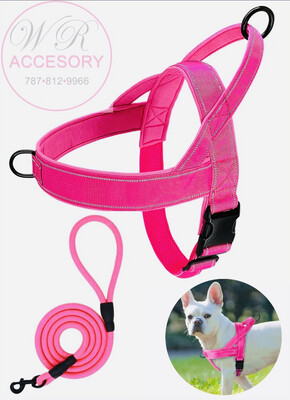 PET0056/ 6 pcs Pink Pet Leash
