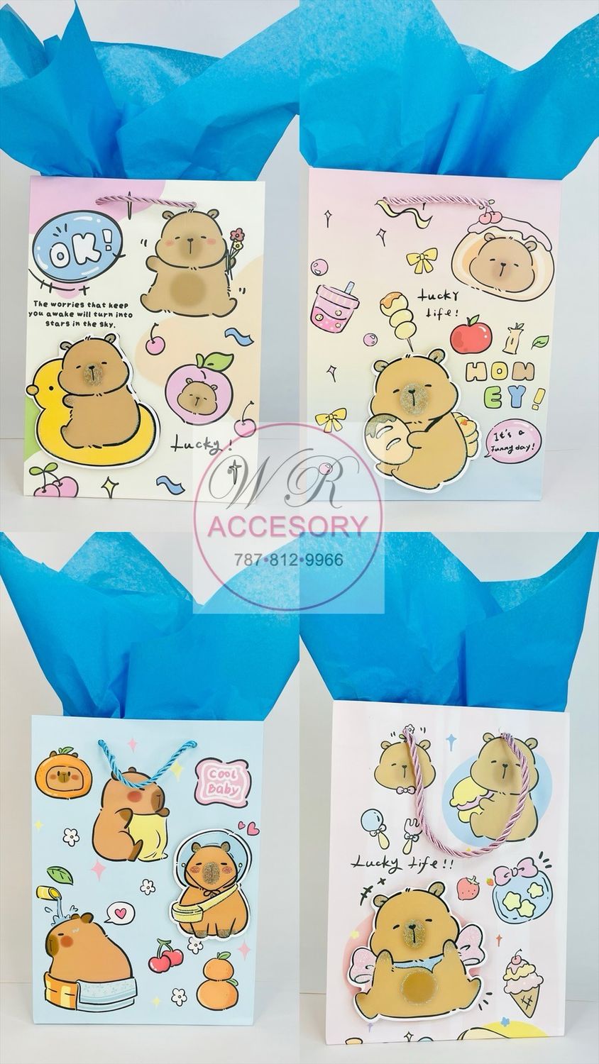 DNV-2746 bolsas de regalo 