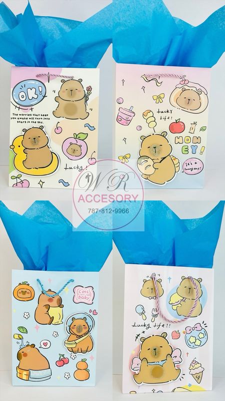 DNV-2746 bolsas de regalo 