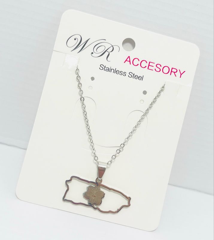 Cadena stainless steel #1061 mapa amapola 