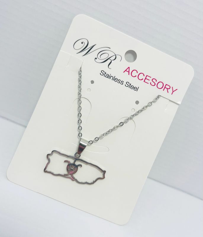 Stainlees Steel #1062 mapa tortuga 