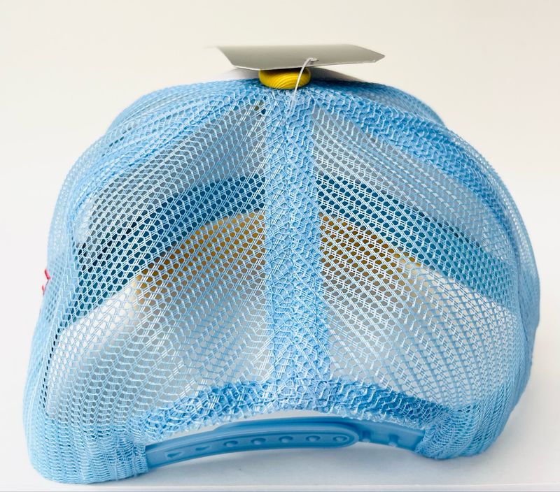 Gorra PR #152