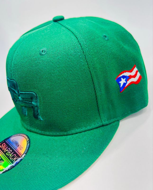 Gorra PR #174
