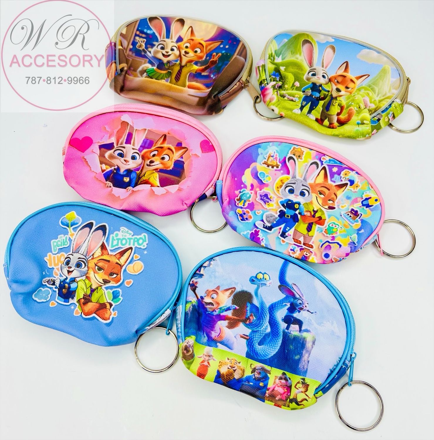 DNV-3269 Monederos 12pcs 