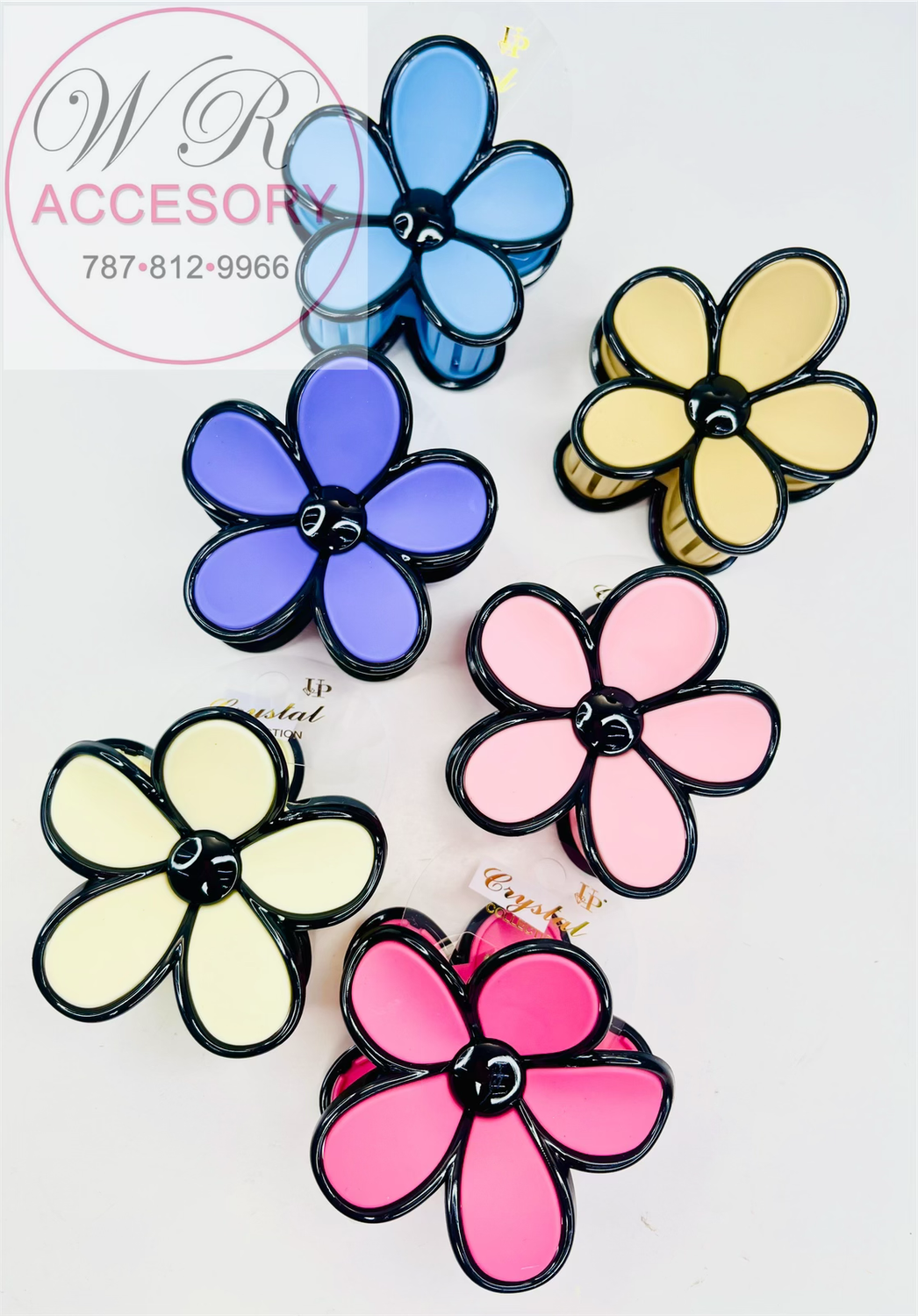 YCP-3841 clanes 12Pcs 