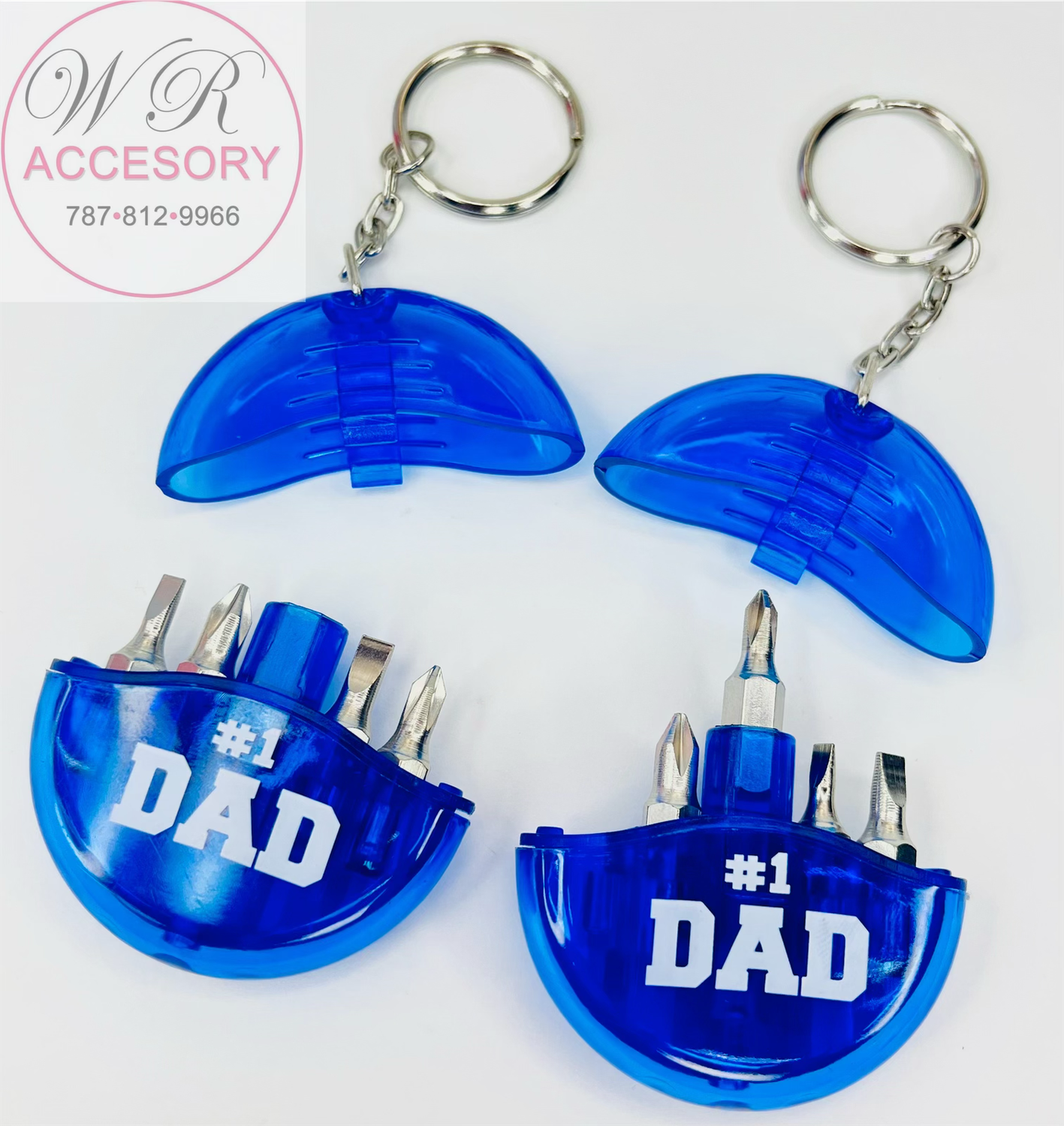 PKC10171DAD llaveros 12Pcs 