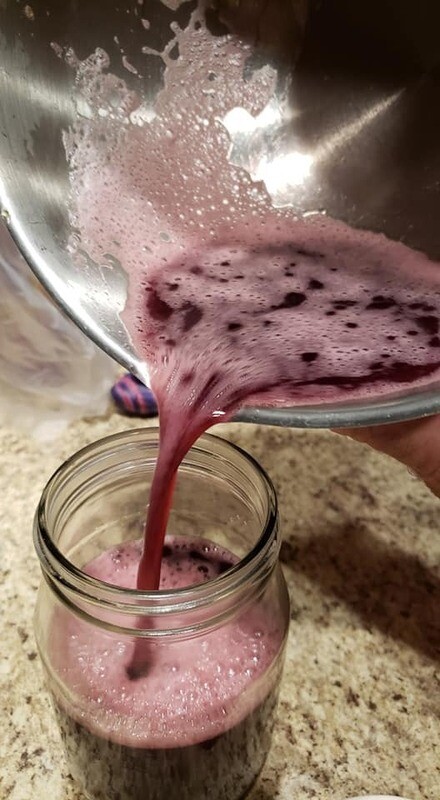 Elderberry Tonic