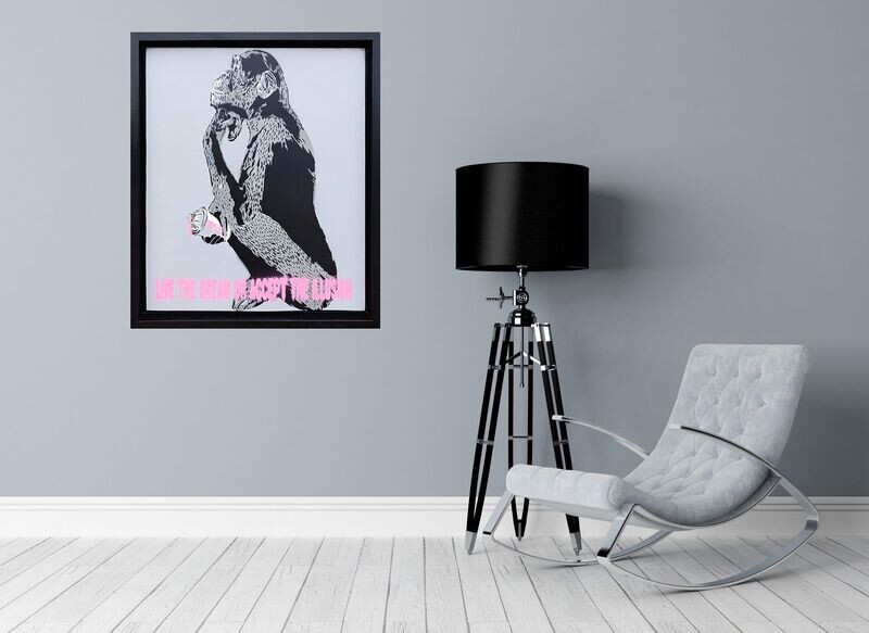 Live the Dream or Accept the Illusion Thinking Monkey on Recycled Wood with Float Frame