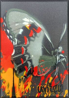 Dripping Butterfly Fire Colours - Mini Canvas