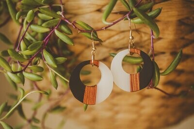 Vertical Striped Wood and Resin Earrings
