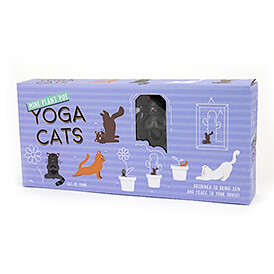 Plan Pot Yoga Cat