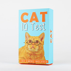 Trivia- Cat IQ