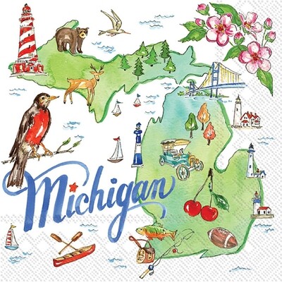 Michigan State Collection Napkins