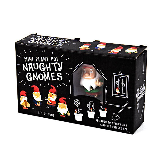 Mini Plant Pot Naughty Gnomes