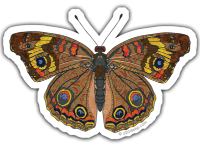 Common Butterfly Sticker