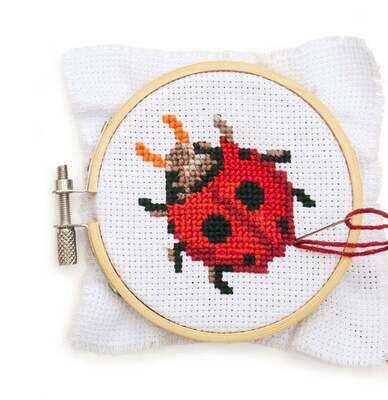Ladybug Kit`