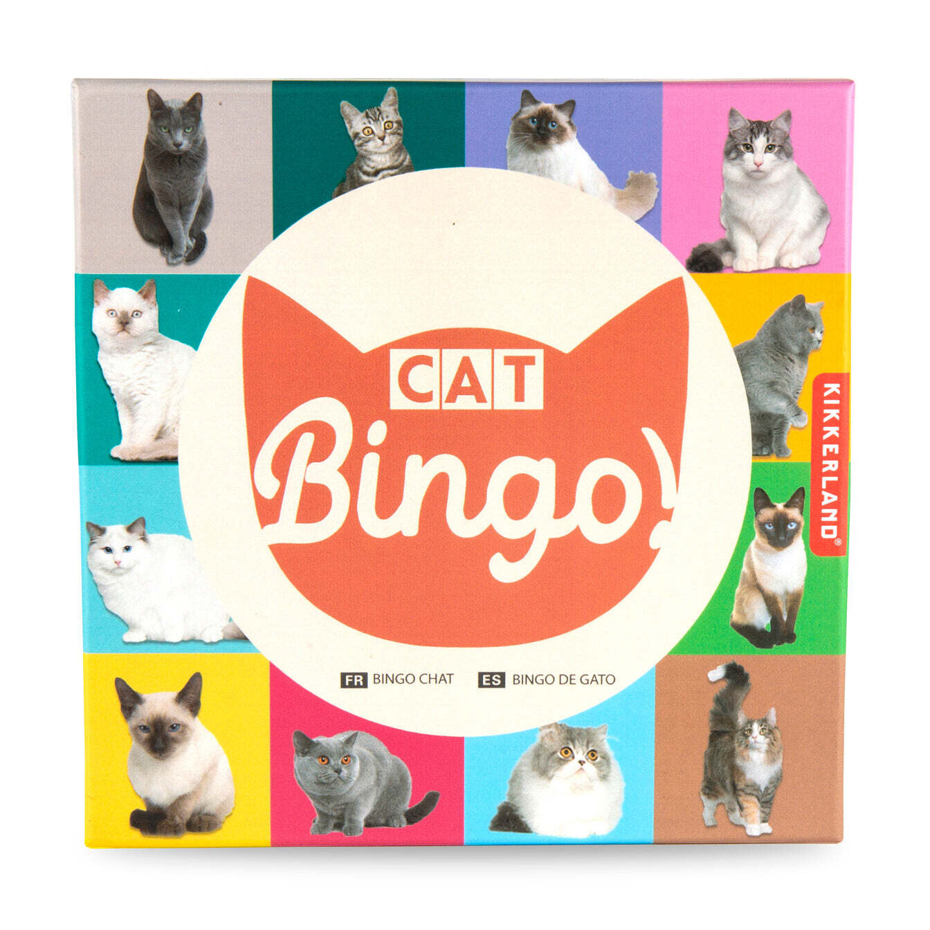 Cat Bingo