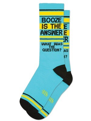 Booze is the Answer Socks
