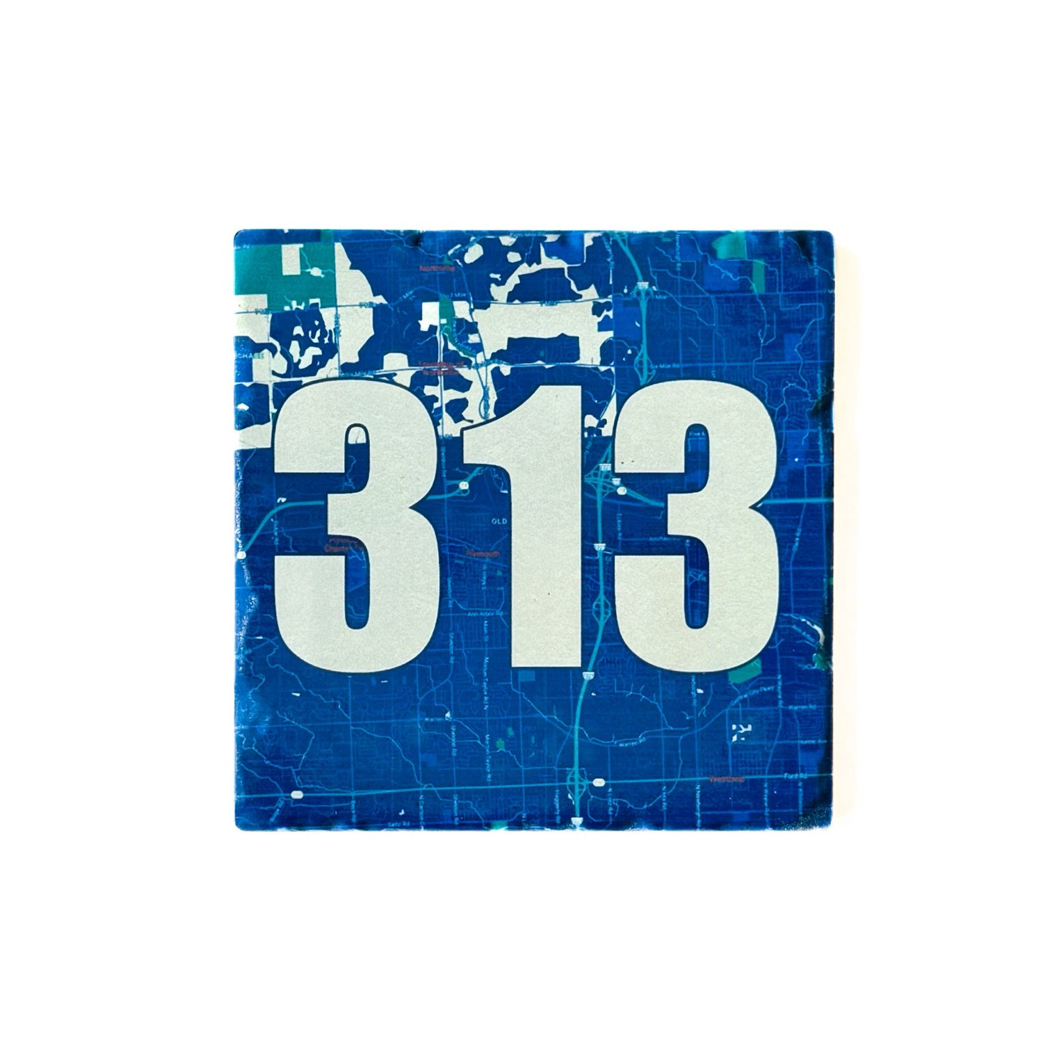 313 Coaster