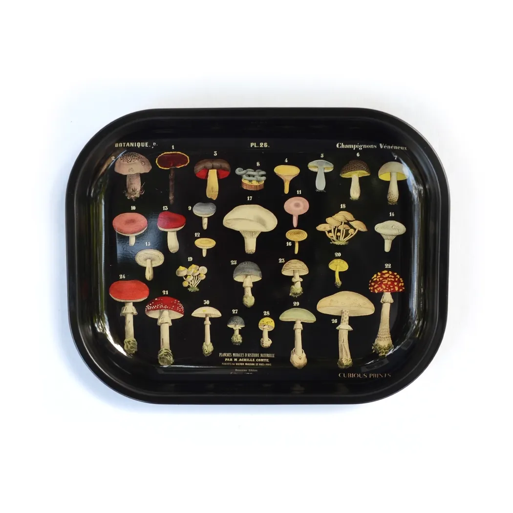 Metal Mushroom Trinket Tray