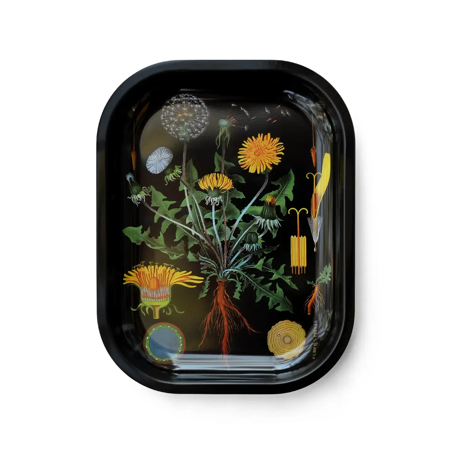 Metal Dandelion Trinket Tray