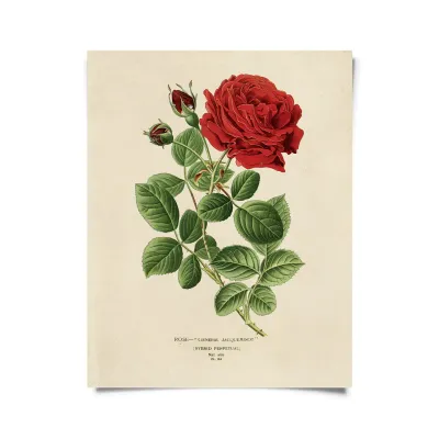Vintage Rose Print