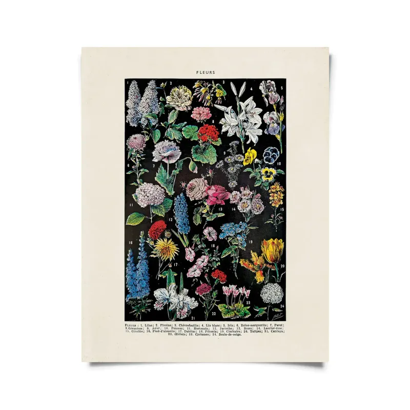 Vintage Floral Print Vintage Floral Print