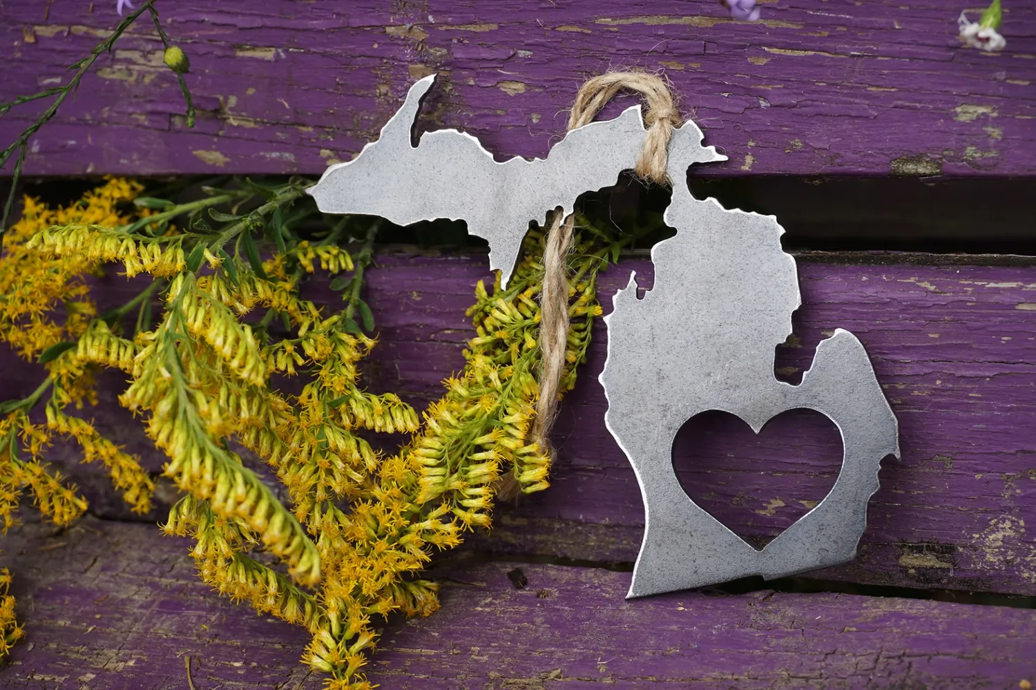Michigan w/Heart Steel Ornament
