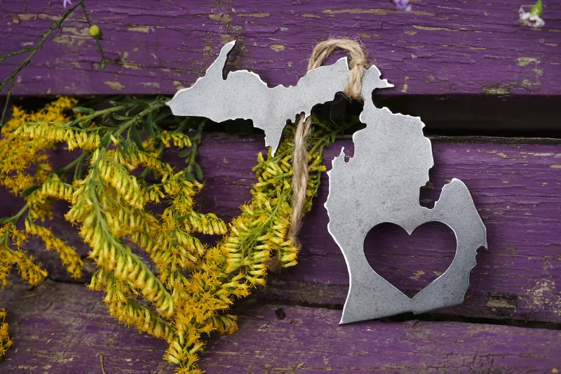 Michigan w/Heart Steel Ornament Michigan w/Heart Steel Ornament