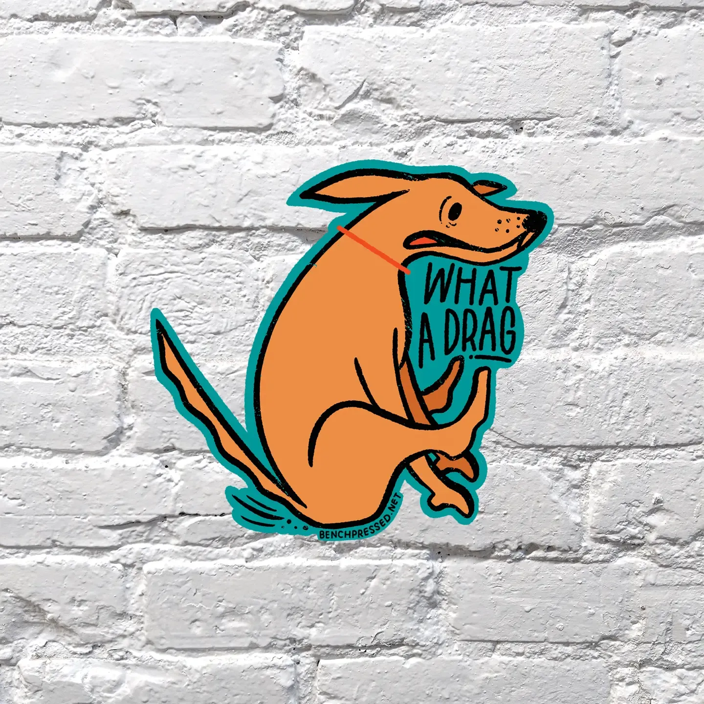 What a Drag Dog Sticker