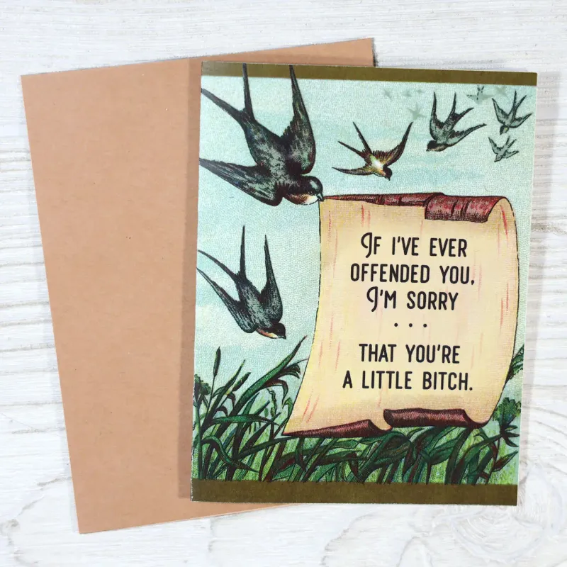 Sorry if Offended Card Sorry if Offended Card