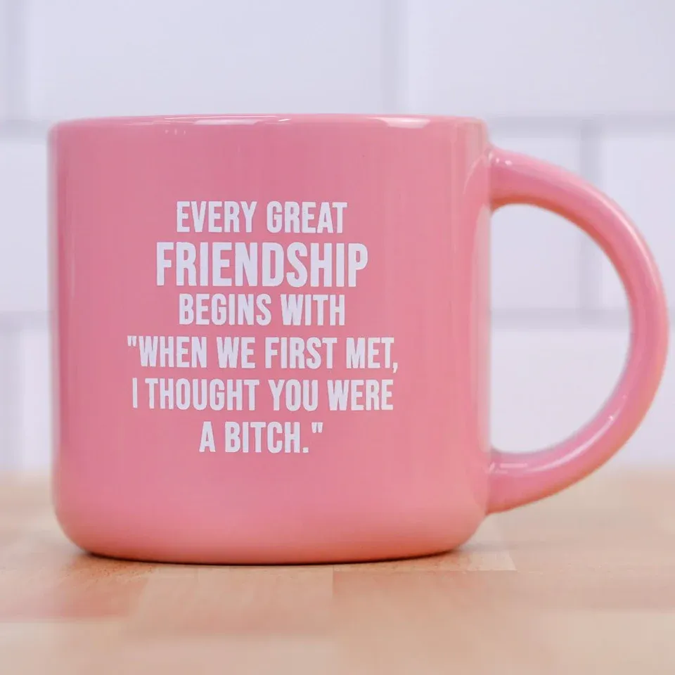 Every Great Friendship Mug