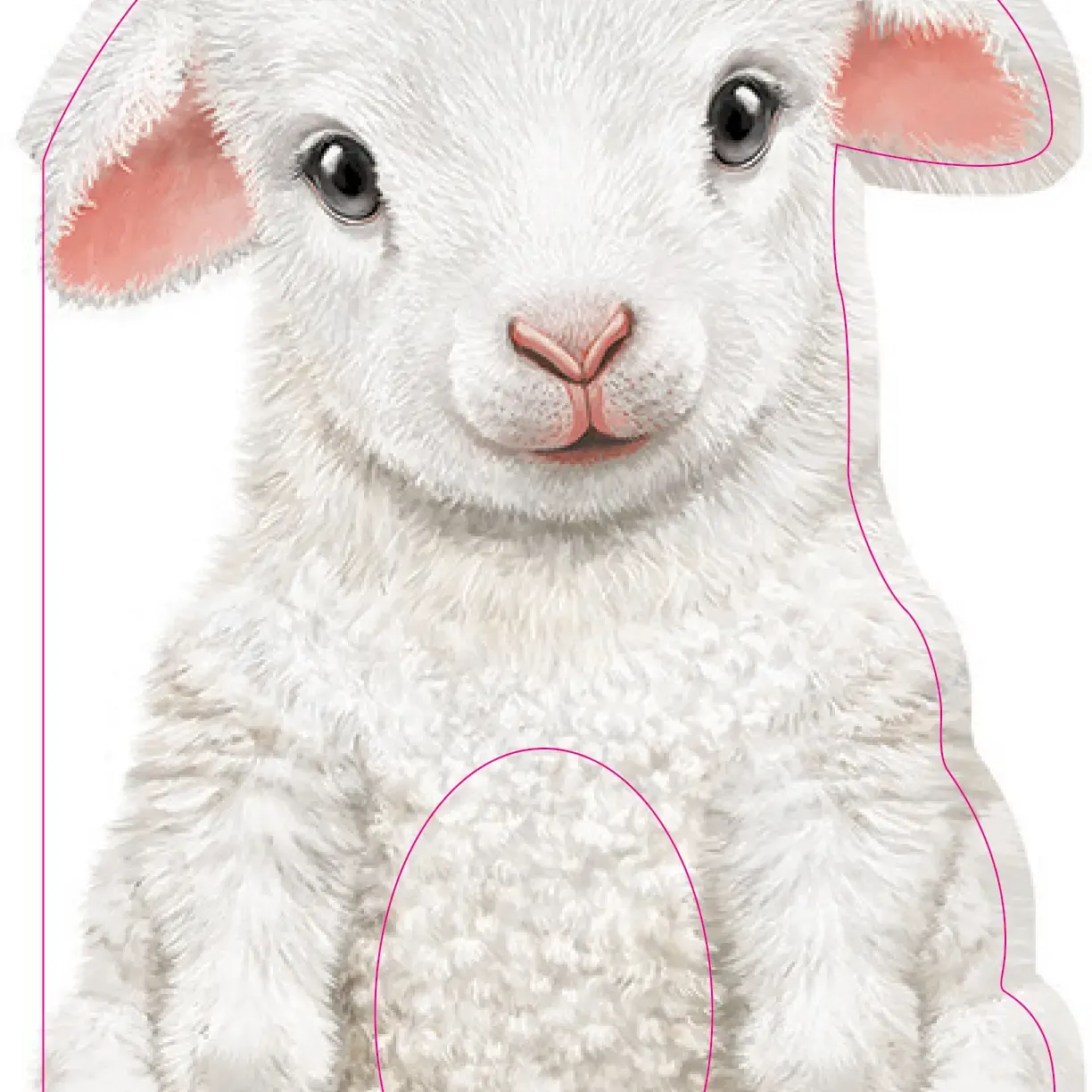 Fury little Lamb Board Book