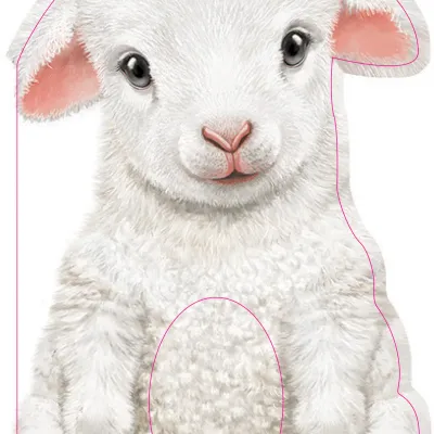 Fury little Lamb Board Book