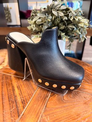 The Sierra Clog