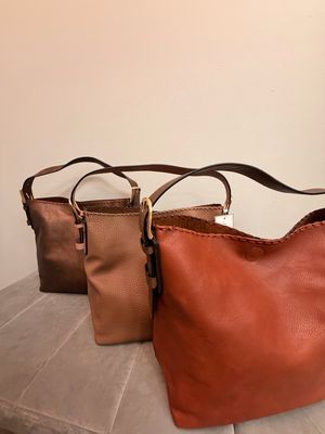 Alexa 2-1 Hobo Bag