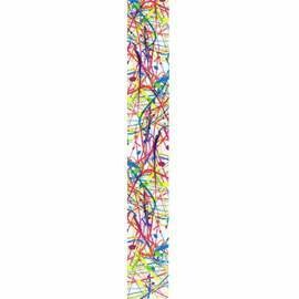 XTR Guitar Strap Multi Colour