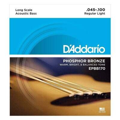 D'Addario EPBB170 Phospher Bronze Acoustic Bass Strings