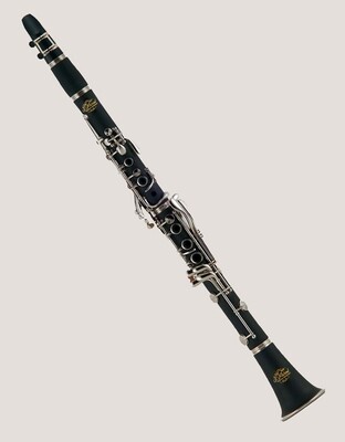Bb Clarinet ACL350 J Michaels