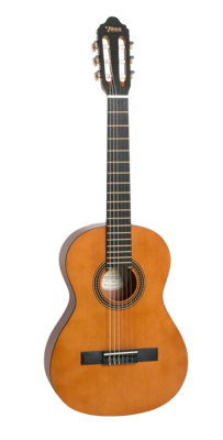 Valencia 200 Series 3/4 size Nylon string Guitar 8-12 year old