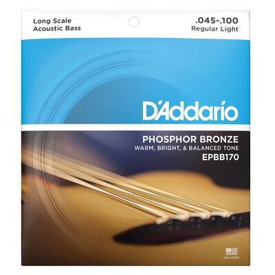 D&#39;Addario Acoustic Bass 045-100