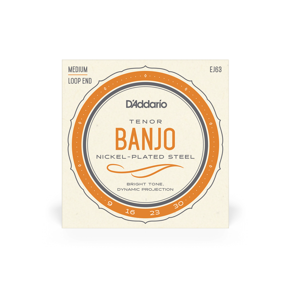D'Addario EJ66  Tenor Banjo Strings, Nickel, Light, 09-20