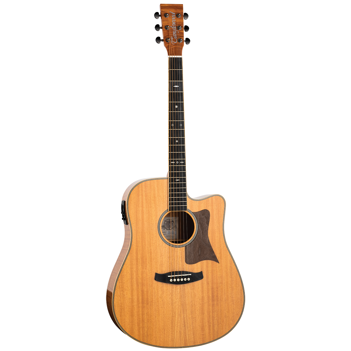 Tanglewood TRU5-CE-FMH / TRPRO-DCE-FMH Reunion Pro Solid Australian Red Cedar Top Dreadnought C/E with Flame Okoume B/S