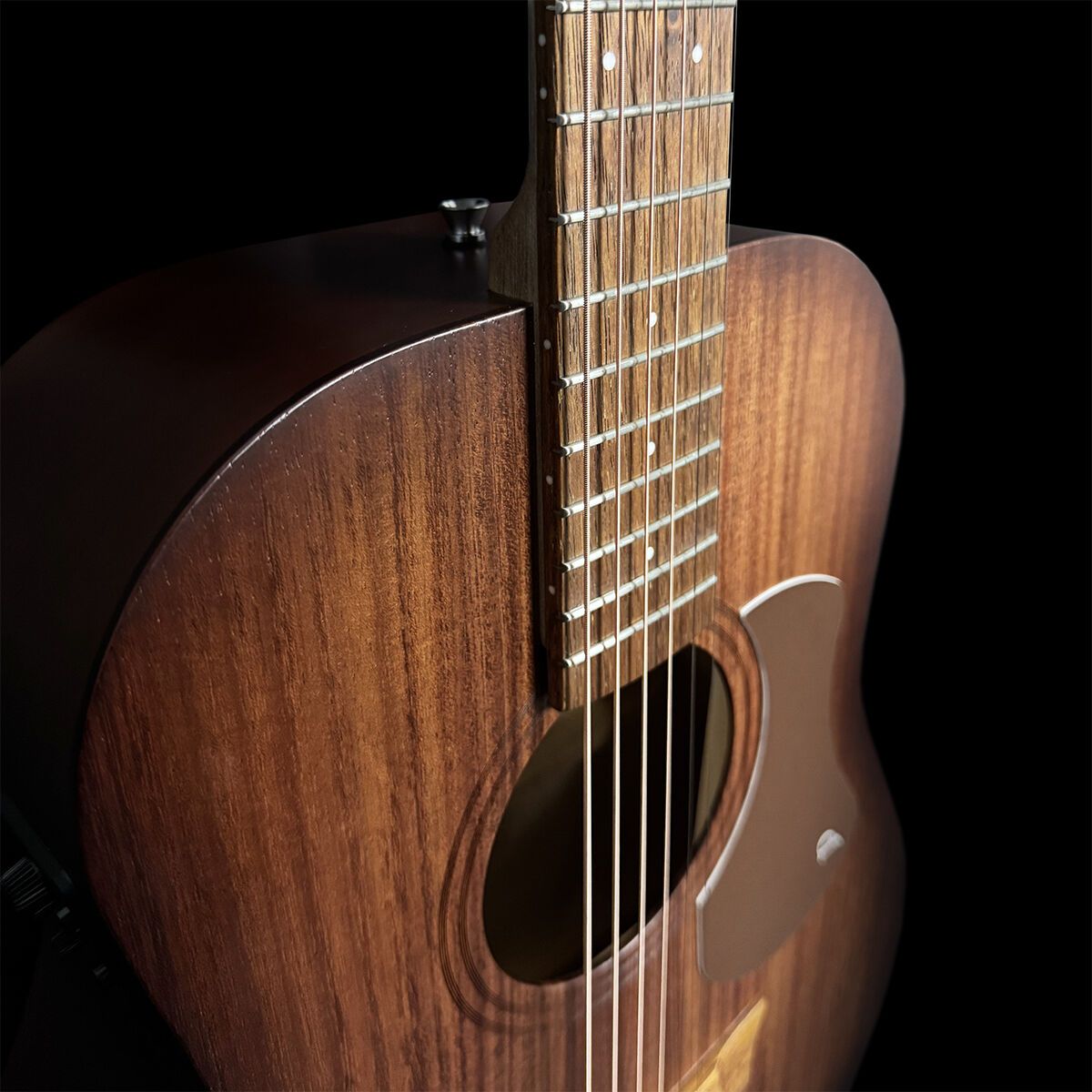 Pratley SL Dreadnought Layered Araucaria Back &amp; Sides, Solid Blackwood Top w/pickup [PRSLD-E-ABW] *includes PF Case