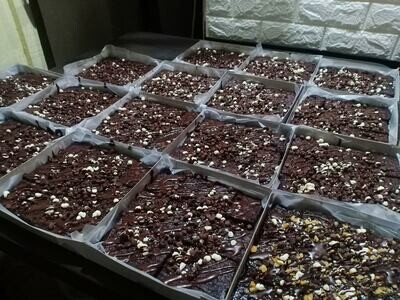 Be mine, Brownies!