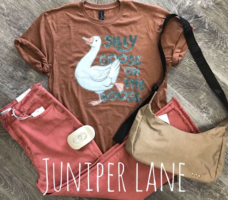 Silly Goose Tee