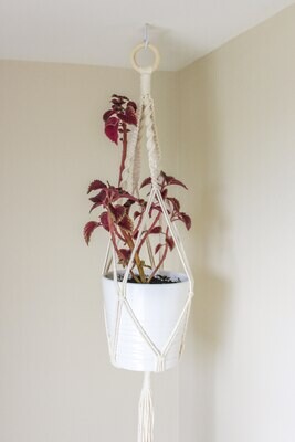 Macrame Plant Hanger - Design Style A Macrame Plant Hanger - Design Style A