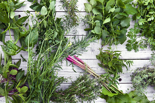 Fines herbes et aromates