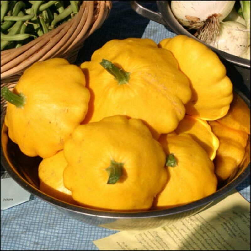 Pâtisson Sunny delight