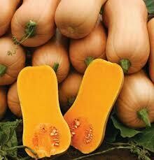 Courge Butternut